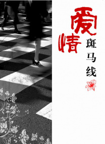毛片的视频